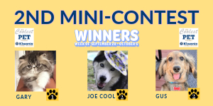 2024 Coolest Pet Contest winners